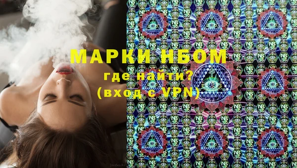 дмт Бородино