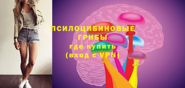 дмт Бородино