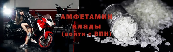 дмт Бородино