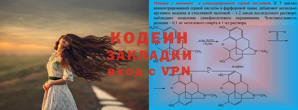 дмт Бородино