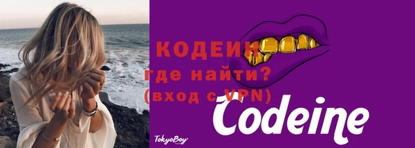 дмт Бородино
