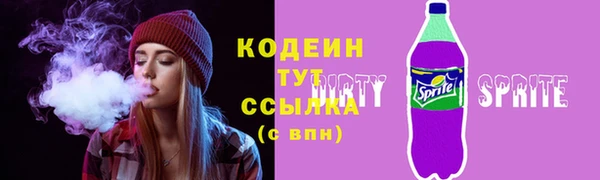 дмт Бородино
