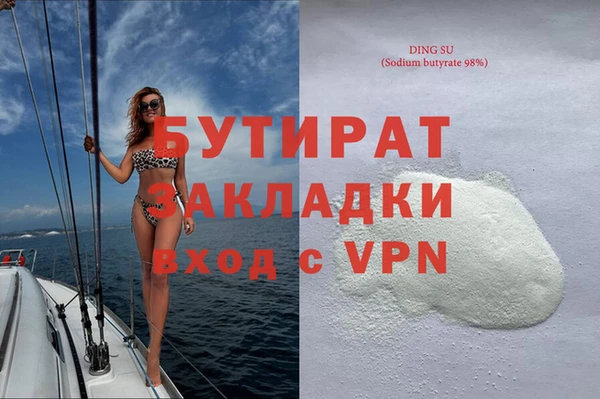 дмт Бородино